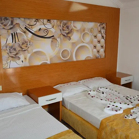 Anita Dream 4*
